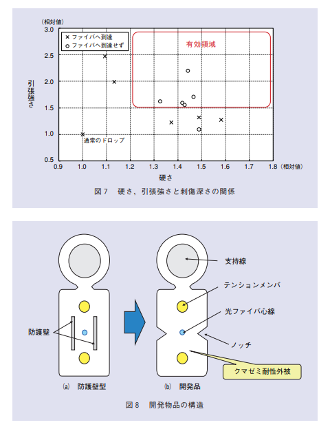 kumasan2.PNG