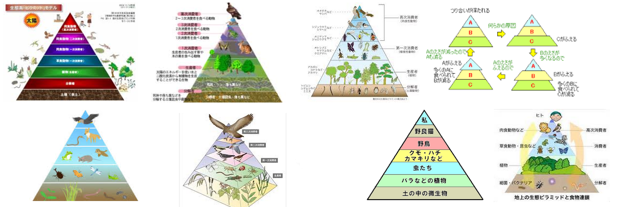 人間は食物連鎖のピラミッド頂点ではなく 実は動物の最下層なのでは という話 現在位置を確認します 移転後