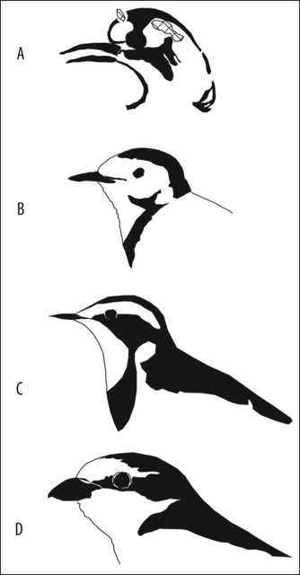 20221207160638077-0304_S0003598X22001594_S0003598X22001594_fig7.png