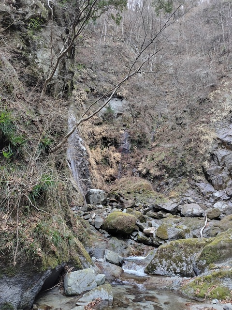 250201093327181.JPG