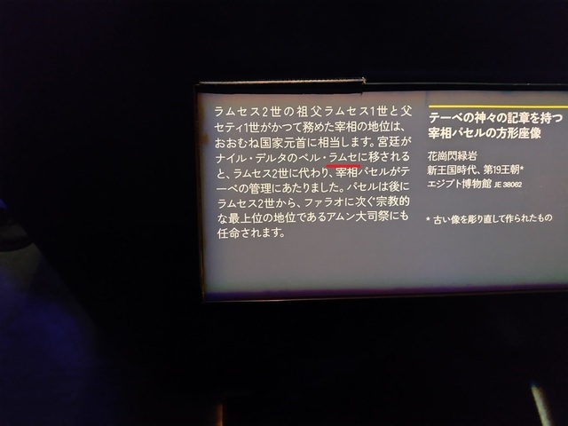 250308102630816.JPG