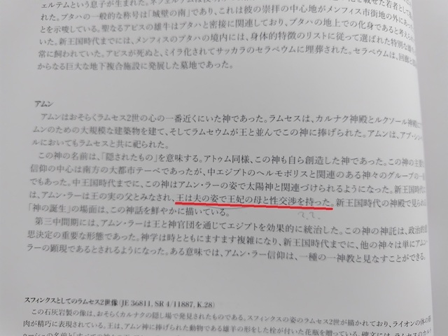 250313180738795.JPG