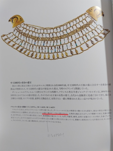 250313180853029.JPG