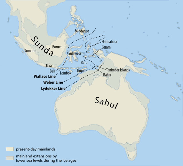 Map_of_Sunda_and_Sahul.png