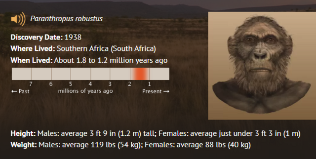 ertt5.png